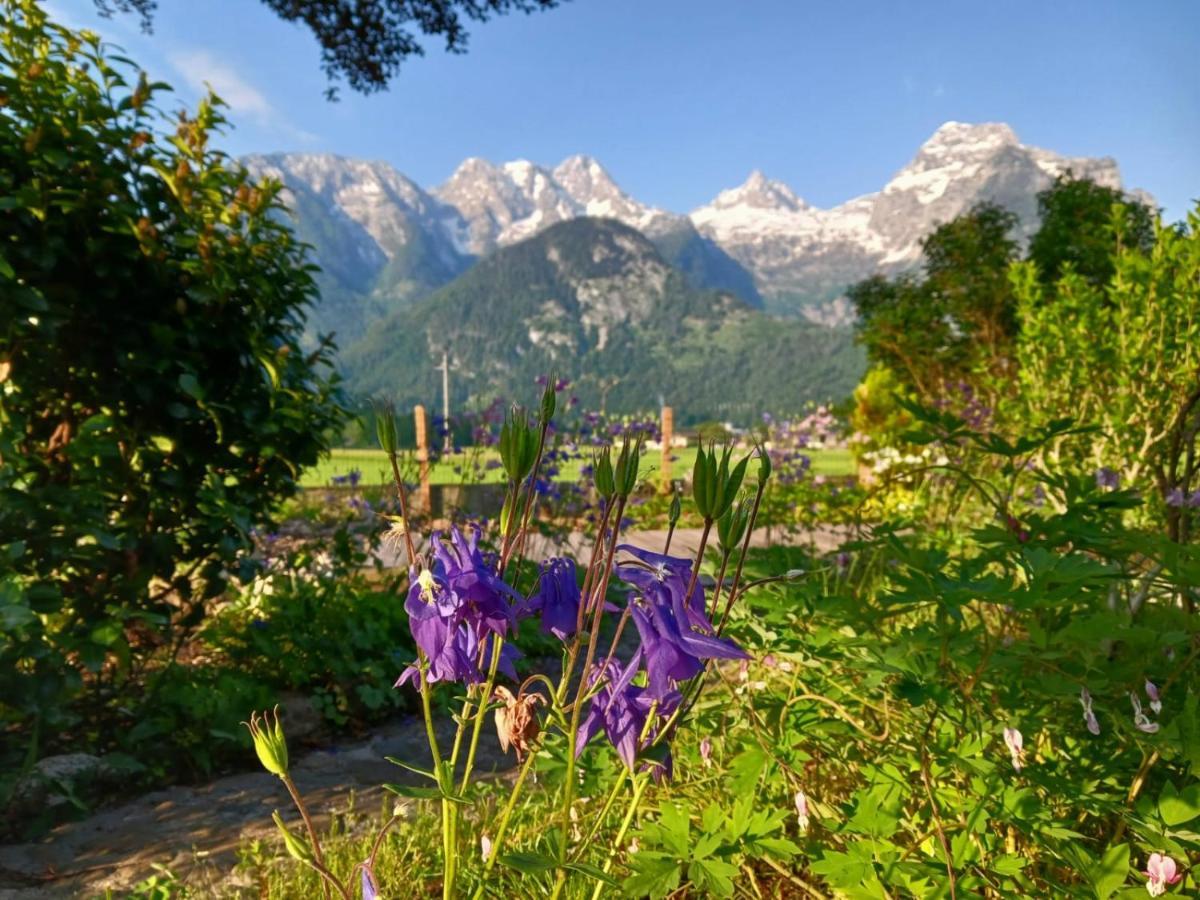 Chalet Scheffsnoth Лофер Экстерьер фото
