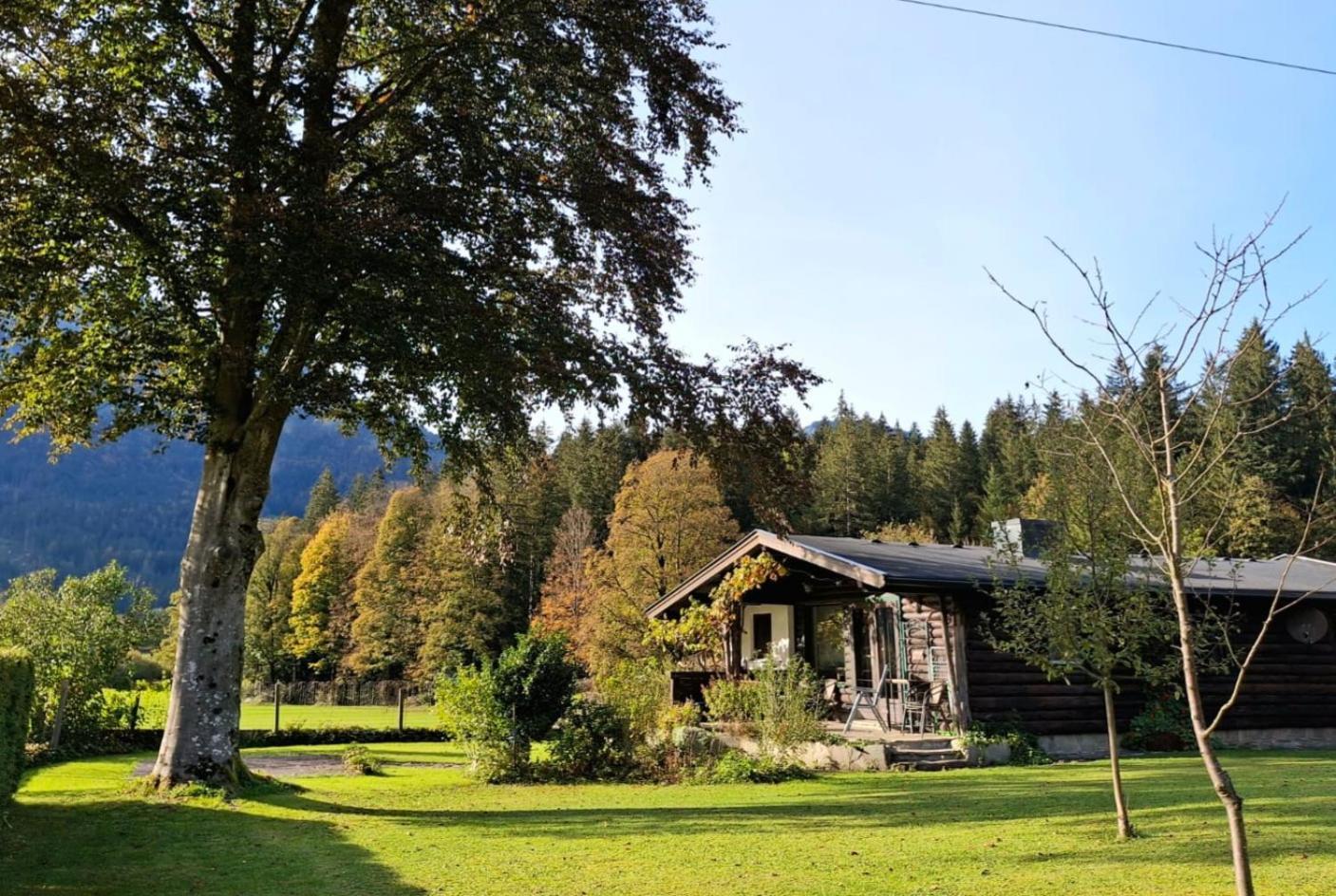 Chalet Scheffsnoth Лофер Экстерьер фото
