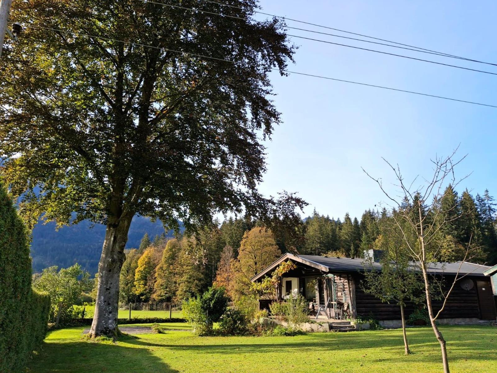 Chalet Scheffsnoth Лофер Экстерьер фото